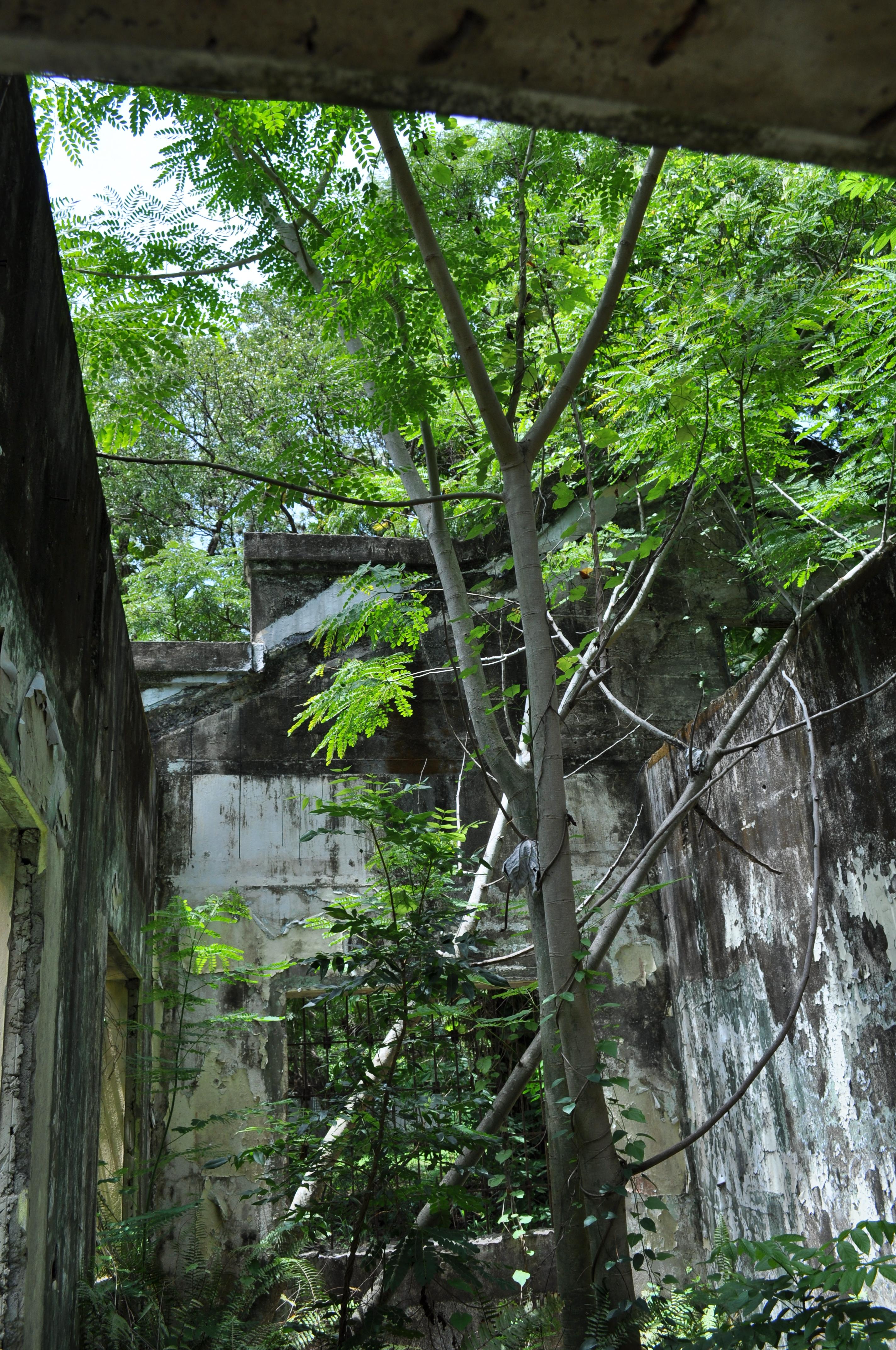 Antigua Lechería y Residencia de la Facultad de la Universidad de Puerto Rico - San Juan (Río Piedras) - 2015 00016